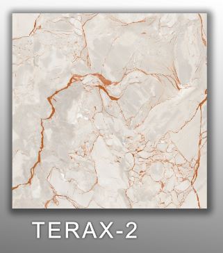 TERAX-2 (CARVING) 2X2 MATT SPENTAGON