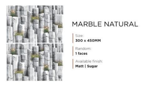 MARBLE NATURAL 12X18 ANMOL (HD ELEVATION)